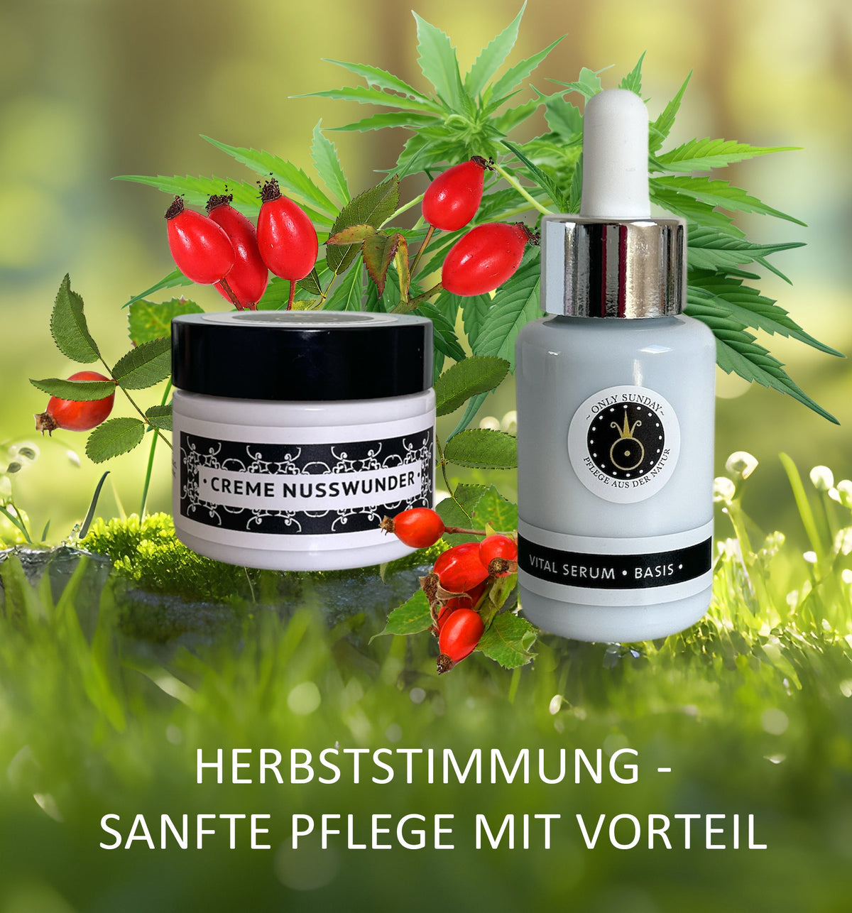 10 % Rabatt auf alle Produkte in unserem Shop – nur bis Sonntag